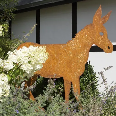 Michels Muehle - Wieder Land Sehen Brilon