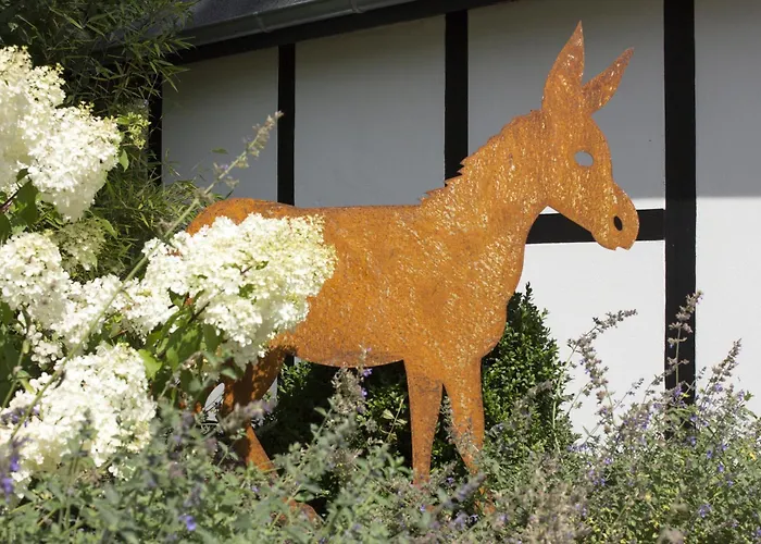 Michels Muehle - Wieder Land Sehen Brilon