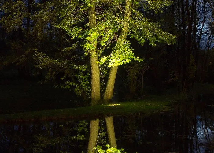Michels Muehle - Wieder Land Sehen *